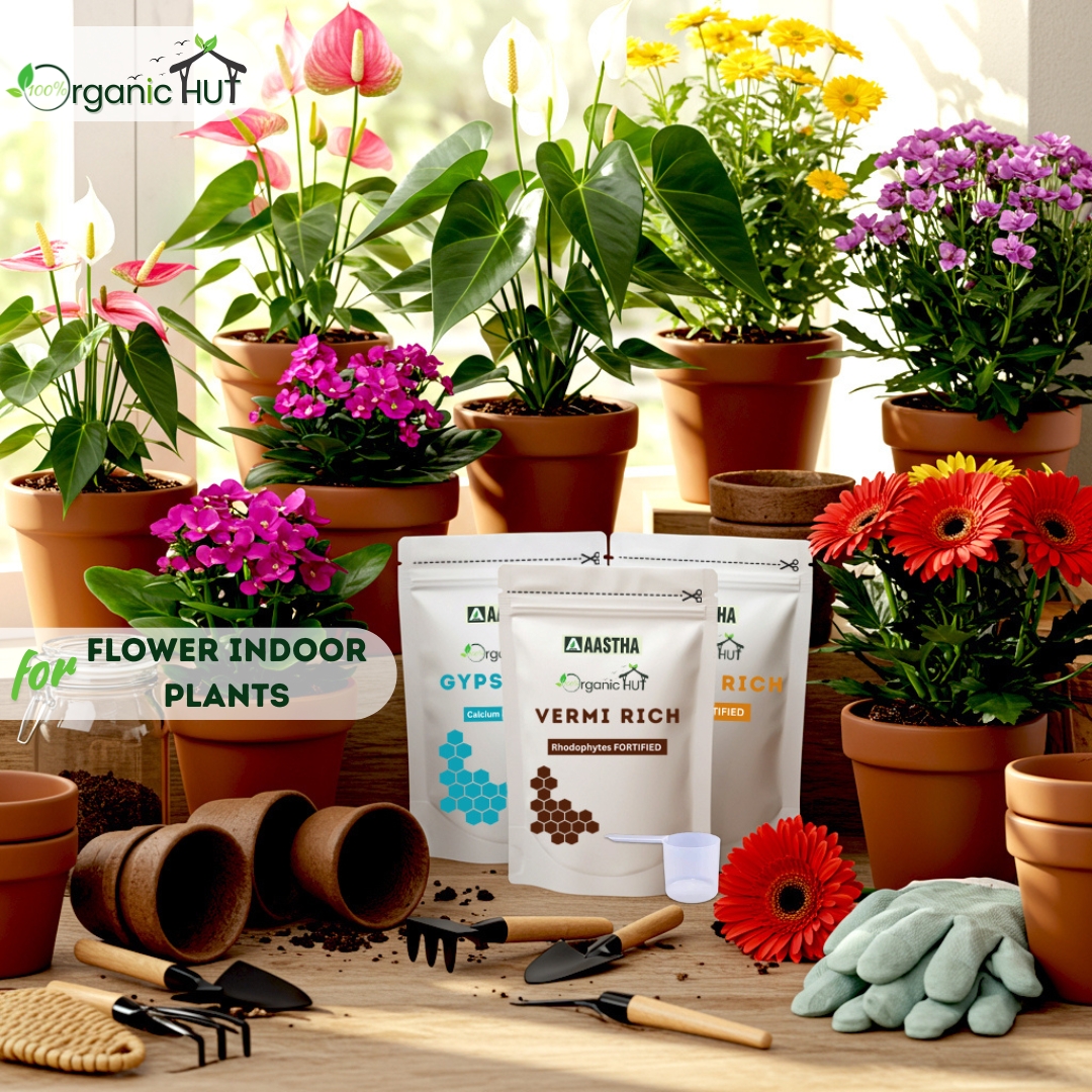  Indoor Flowering Plants in Kitchen Gardening 